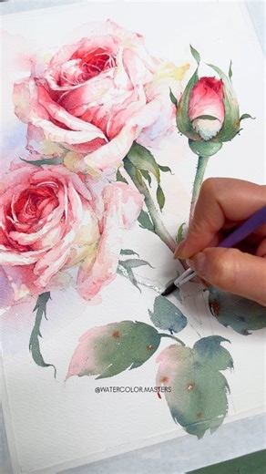 Watercolor Art Gallery on Instagram: "Watercolor painting tutorial of roses by artist Summer (Douyin) — a graceful demonstration of softness and flow. Transparent layers, gentle color blooms, and expressive brushstrokes capture the delicate structure of the petals, while loose edges and fresh washes give the roses a natural, airy elegance. A beautiful lesson in balance, restraint, and watercolor sensitivity. Artist: Summer (Douyin) #watercolorpainting #watercolortutorial #floralart #rosepainting
