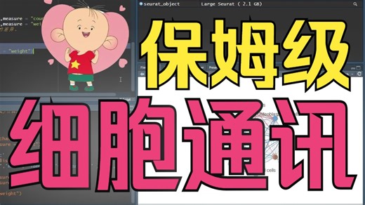学起来！保姆级细胞通讯教程