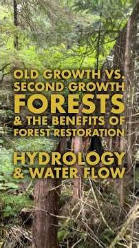 Oldgrowth vs Secondgrowth Forests & the Merits of Ecological Restoration: Hydrology & Water Flow