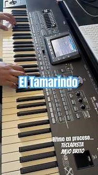 El Tamarindo | #tecladistaversatil de Acapulco Julio Brito | Ritmo de #charanga #costeña