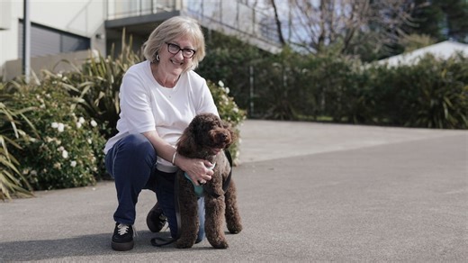 Labradoodle health issues after buyers buy from breeder