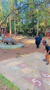 455K views · 7K reactions | Monkey Attack Biggy Food  | Amal & zacki | Facebook