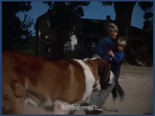 He really did love kids tho :( #cujo #cujo1983 #sad #horror #cujomovie #edit #fyp #fyy #fup #dog