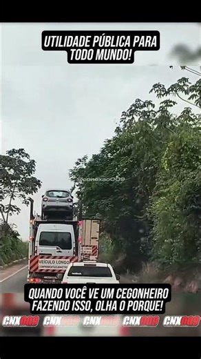 The life of a truck driver is complicated!