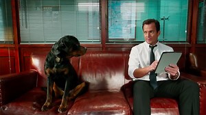'Show Dogs'- Tráiler oficial