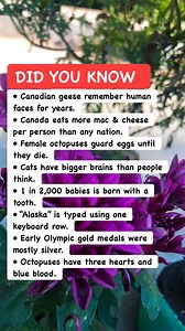 🦢 Animals With Memory So Good It’s Scary#AnimalTrivia #WildlifeFacts #NatureIsCrazy | Math & Puzzle