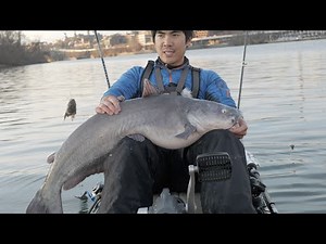 I Caught a MASSIVE CATFISH on the Potomac River!!! (CRAZY FIGHT)