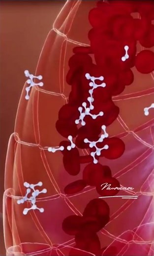 Thariod Glands #anatomy #facts #neurotherapy #science #neurocare #lmnt #doctor #biology