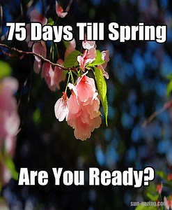 🌸🌼🌱🌷 | Sun Gazing