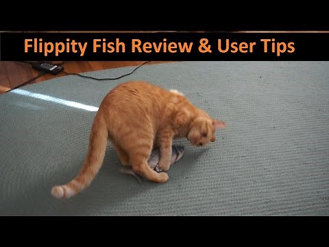 Flippity Fish Review and Instruction Guide