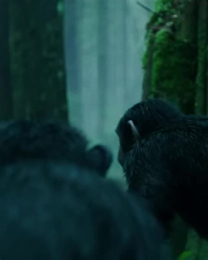 Old Is Gold: Classic Comedy Moments to Cherish