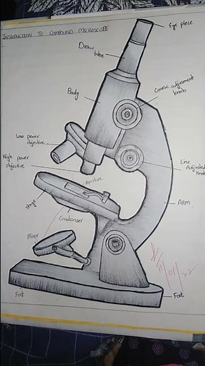 compound microscope 🔬 diagram.... in physiology practical