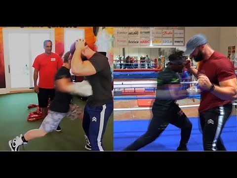 KSI vs Logan Paul (Bradley Martyn Visual Punch Comparison) | You Be The Judge