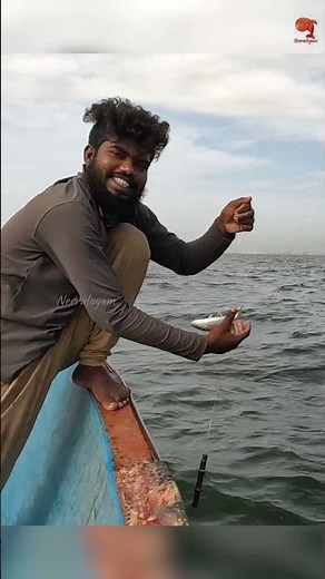 Catching Yellowtail Scad in the Deep Sea #fishing #fishingvideo #fishingtime