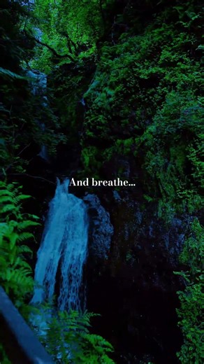 Pause for a moment and breathe.... #bluehour #darknature #relax #chill #fypシ