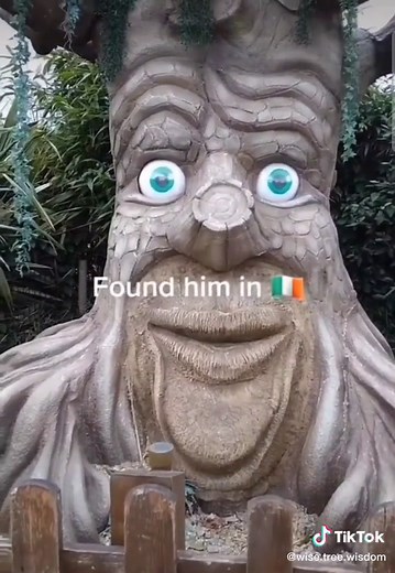Wise_Tree_wisdom on TikTok