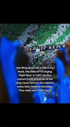 One Direction Concert Highlights: Fans and Performances