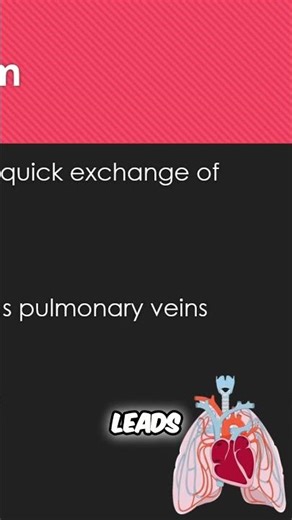 Hypoxia's Lung Trick: How Oxygen Affects Blood Vessels!