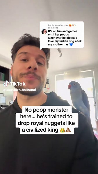 Replying to @anthaaaaa 🥵🫶🏼 This distinguished gentleman does not defecate indiscriminately 💅🎩💩 #poop #bird #talkingbird #birdtraining #birdtok #parrotsoftiktok #petsoftiktok #birb #parrots
