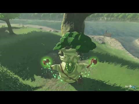 Zelda Breath Of The Wild Hestu Location 2