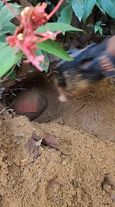 89.Metal detecting in the mountain #metaldetecting #f #find | Metal detecting