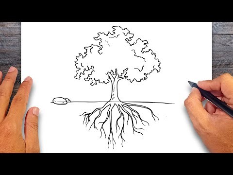 How to draw Tree Roots - Roots Drawing Ideas