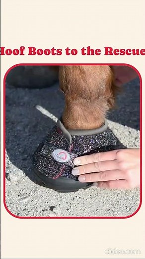The Best Hoof Boots for Laminitis, Navicular & Tender Hooves! 🐴✨