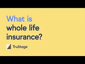 What is whole life insurance?
