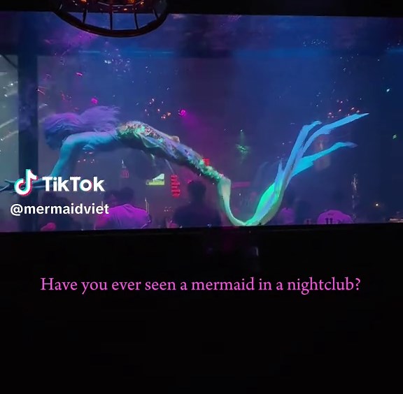 Performing Mermaids: Enchanting Underwater Shows