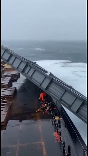 (Java Sea have ship 🛳️)