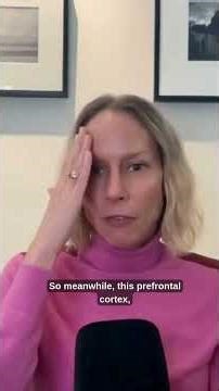 The Brain Science of Those Who Live in Constant Stress — Explained in 1 Min