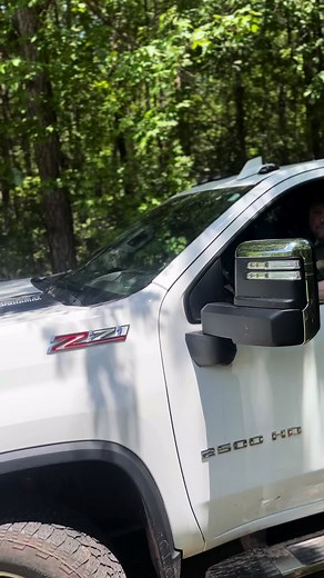 Bone Collector on TikTok