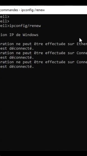 #Essayons de reparer un problème dhcp avec un invite de commande