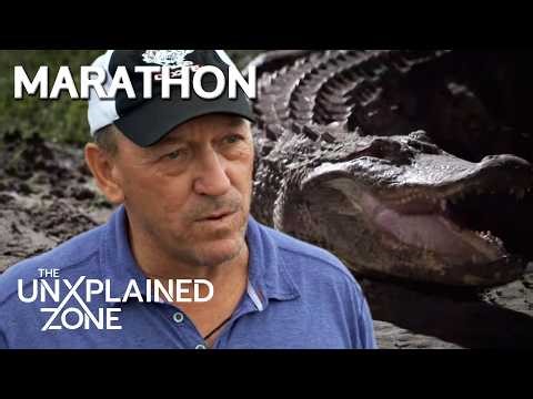 America’s Most DANGEROUS Creatures | Marathon | Swamp Mysteries with Troy Landry