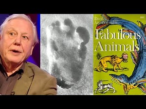 The Lost Cryptid Documentary