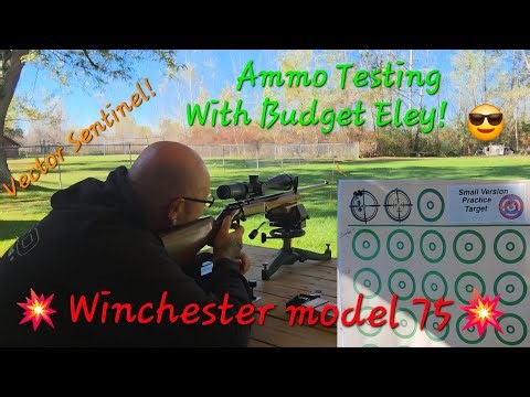 Winchester model 75 22lr Ammo Testing With Low Budget Eley?