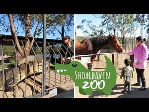 Shoalhaven Zoo