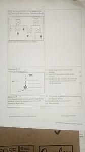 Question 3Study the diagram below:3.1 Name the process show... | Filo