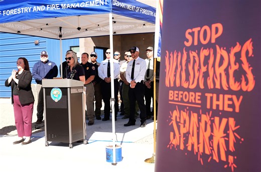 Heat, drought and beetles put Arizona at high risk for wildfires