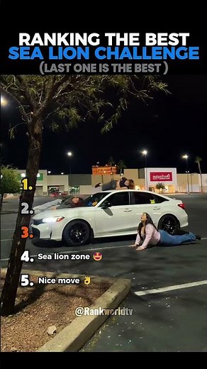 Ranking the Best Hit the Sea Lion Trend