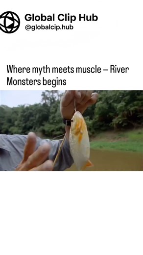 Global CLIP HUB on Instagram: "River Monsters is a gripping documentary series led by extreme angler and biologist Jeremy Wade — a man who turns fishing into detective work 🎣🌍. Each episode sends him across the globe chasing mysterious freshwater creatures blamed for attacks, disappearances, and chilling folklore. Through witness interviews, scientific clues, and risky expeditions, Wade uncovers whether these myths hide real predators or misunderstood giants. What sets the show apart is its bl