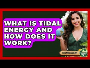 What Is Tidal Energy And How Does It Work? - Explaining Ecology
