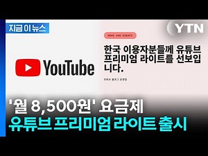 '뮤직' 빼고 가벼워진다...'유튜브 프리미엄 라이트' 국내 출시 [지금이뉴스] / YTN