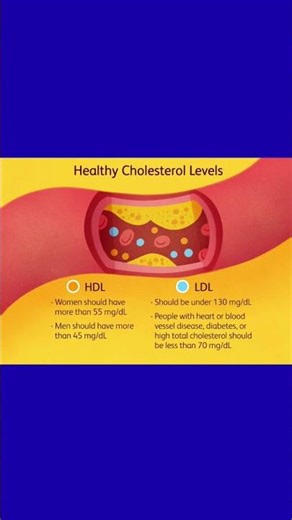 HDL Vs LDL Differences #biology #biochemistry #physiology #HDL #ldl