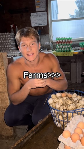 Nathan Sages | Testosterone Coach on Instagram: "Farms > Grocery Stores I guarantee if most the population shopped at farms instead of grocery stores the obesity rates would be cut in half. No processed garbage and only high quality animal products. All you need to hit 1000+ Testosterone 📲Message me “Test” for 1:1 Coaching #health #healthtips #nutrition"