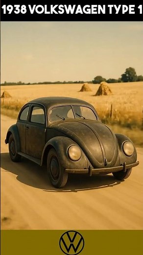 Evolution of the Beetle: 80 Years of Iconic Curves