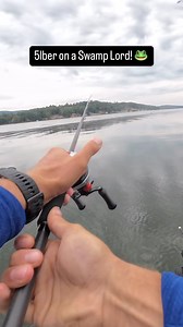 Best part about throwing a frog is getting to set the hook as hard as you possibly can! #swamplord #berkley #bassfishing #frogfishing #largemouthfishing #lakeguntersville | Justin Lucas