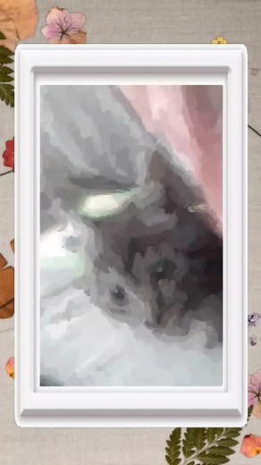 Cuentas recomendadas