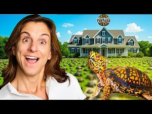 They Have 300+ Turtles In Their Home!!