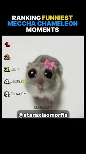 Ranking Funniest Meccha Chameleon Moments part 2